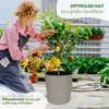 A woman tending to a potted lemon tree indoors. Náhled obrázku produktu