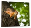 Wallario Herdabdeckplatte aus Glas, Größe 60 x 52 cm Produktbild-Vorschau 1