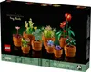 LEGO® Icons 10329 Miniatúrne rastliny Náhľad obrázku produktu 65
