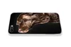 MuchoWow® Handyhülle Schutzhülle Hülle für iPhone 7 Hund - Produktbild-Vorschau 5