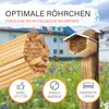 BEESI Bienenhotel mit wetterfestem Metalldach I Bienenhaus Produktbild-Vorschau 5