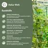Ranknetz – Ideal für Gurken, Bohnen und Kletterpflanzen – Produktbild-Vorschau 4