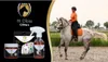 Eccellente Cavallo Hi Gloss Stencils 5 pezzi Anteprima dell’immagine prodotto 2