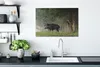 MuchoWow® - Leinwandbilder - Wildschwein - Rotwild - Wald, Produktbild-Vorschau 3