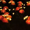 Lampade solari per la decorazione del giardino luci solari Anteprima dell’immagine prodotto 12