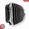 ESEN SKV 66SKV182 Kühlergrill Frontgrill für BMW 5 Touring Produktbild-Vorschau 10