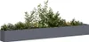 A long, rectangular planter filled with various green plants against a white background. Anteprima dell’immagine prodotto