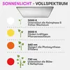 LED Grow Lampe 400W – Profi-Pflanzenlampe mit Samsung Produktbild-Vorschau 9