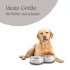 Set di 2 ciotole in ceramica per cani ( grigio / 850 ml ) Anteprima dell’immagine prodotto 7