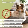 REAVET Flohspray für Katzen & Hunde 500ml - Sofortschutz Produktbild-Vorschau 2