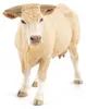 Papo 51185, speelfiguur, 119 gram Productafbeelding-voorbeeld 5