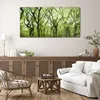 Coloray Bild aus Acryl 140 cm x 70 cm - Gehärtetes Acryl Produktbild-Vorschau 3
