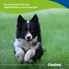 Canina Magen Balance, para perros, polvo, cuidado Vista previa de la imagen del producto 7