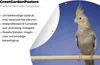 MuchoWow® Produktbild-Vorschau 4