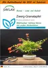 SAFLAX - Garden in the Bag - Bonsai - Zwerg-Granatapfel - Produktbild-Vorschau 1