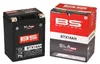 BS BATTERY SLA Max bezúdržbová batéria aktivovaná z výroby Náhľad obrázku produktu 4