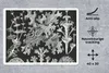 MuchoWow® Mauspad Mousepad Kunst - Koralle - Ernst Haeckel Produktbild-Vorschau 2