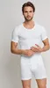 SCHIESSER Essentials T-shirt (1-pack), Doppelribb met Produktbild-Vorschau 10