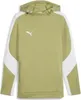Puma Teamevostripe Kapuzensweat Herren - Olive Produktbild-Vorschau 1