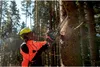 Metabo MS 36-18 LTX BL 40 Akku-Kettensäge Produktbild-Vorschau 21