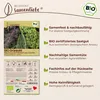 Samenliebe  Grünkohl Samen | Mischung mit Palmkohl aus 4 Produktbild-Vorschau 3