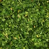Foglie di aglio orsino 200g Brat.pl Anteprima dell’immagine prodotto 3