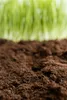 BIOVITA záhradná rašelina 5 l surovina Príprava kyslého Náhľad obrázku produktu 2