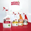 NATURE'S MIRACLE Flecken-&Geruchsentferner Hund Melone - Produktbild-Vorschau 12