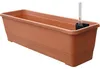 BERGAMOT selbstbewässernder Kunststoffkasten 60x20x17cm Produktbild-Vorschau 2