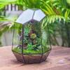 Terrarium géométrique en verre avec aération - Jardinière Voir les images du produit 3