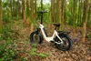 Vélo électrique 48 V 18 Ah, pneus larges 20 x 4,0 pouces, Voir les images du produit 9