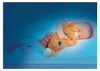 Clementoni Plüsch Baby Kitty Cat beruhigendes Kuscheltier Produktbild-Vorschau 8