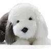 Carl Dick Bobtail, owczarek staroangielski leżący ok. 45 cm Podgląd zdjęcia produktu 8