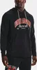 Under Armour Felpe Rival Try, 1370354001, Taglia: 173 Anteprima dell’immagine prodotto 11
