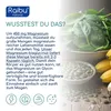 Magnesium Bisglycinat (Magnesium Glycinat) 450 mg pro Tag – Produktbild-Vorschau 5