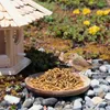10 kg Lyra Pet® Soldatenfliegenlarven Produktbild-Vorschau 7