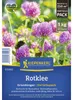 Kiepenkerl Saatgut Rotklee Trifolium pratense für 250 m² 1 Produktbild-Vorschau 2