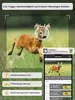 4G LTE Wildkamera mit App & Bewegungsmelder 2K Solar Produktbild-Vorschau 11