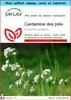 SAFLAX Ensemble-cadeau - Cardamine des prés - 100 graines - Voir les images du produit 1