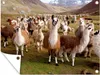 MuchoWow® Produktbild-Vorschau 1