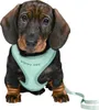 TRIXIE Junior Welpen-Softgeschirr mit Leine - mint - 26–34 Produktbild-Vorschau 2