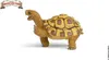 Die Schule der magischen Tiere Henrietta die Schildkröte Produktbild-Vorschau 9
