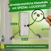 Fenster Trauermückenfalle mit Spezial-Lockstoff – 3x Fallen Produktbild-Vorschau 5