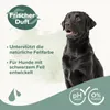 Beaphar - Hunde Shampoo für schwarzes Fell - 250 ml Produktbild-Vorschau 3