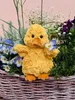 Teddy Hermann 939696, hračkárske kurča Náhľad obrázku produktu 5