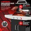 ProfiCook Gasgrill bis zu 400°C | Grillroste aus Gusseisen Produktbild-Vorschau 2