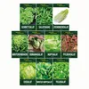 Salatsamen Set - 10 Sorten Samen - Saatgut Sortiment - Produktbild-Vorschau 2