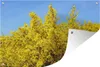MuchoWow® Produktbild-Vorschau 1