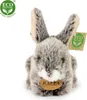 Rappa Plyšový králík tmavě šedý ležící 17 cm ECO-FRIENDLY Náhled obrázku produktu 2