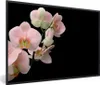 MuchoWow® Gerahmtes Poster Orchidee - Blumen - Rosa - Produktbild-Vorschau 1